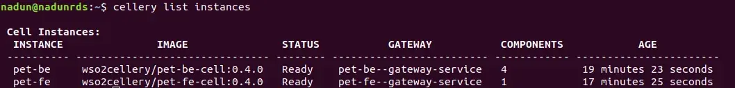 Cellery List Instances Output