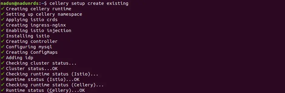 Cellery Setup Create Existing Output
